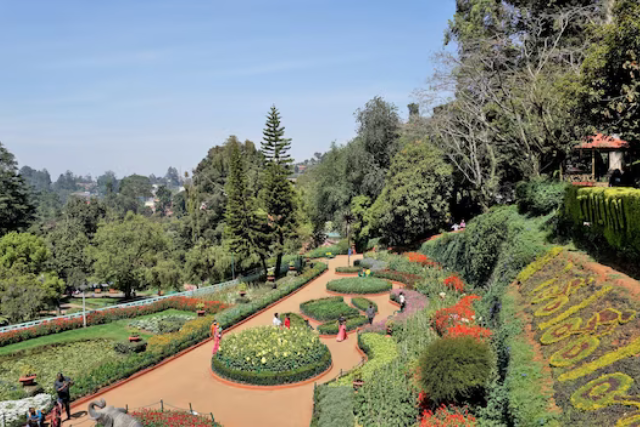Ooty Tour