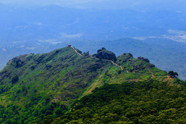 Wayanad Tour